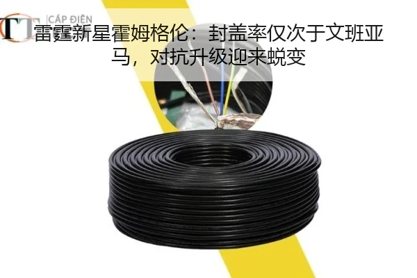 雷霆新星霍姆格伦：封盖率仅次于文班亚马，对抗升级迎来蜕变