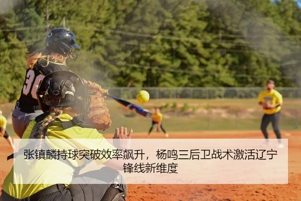 张镇麟持球突破效率飙升，杨鸣三后卫战术激活辽宁锋线新维度